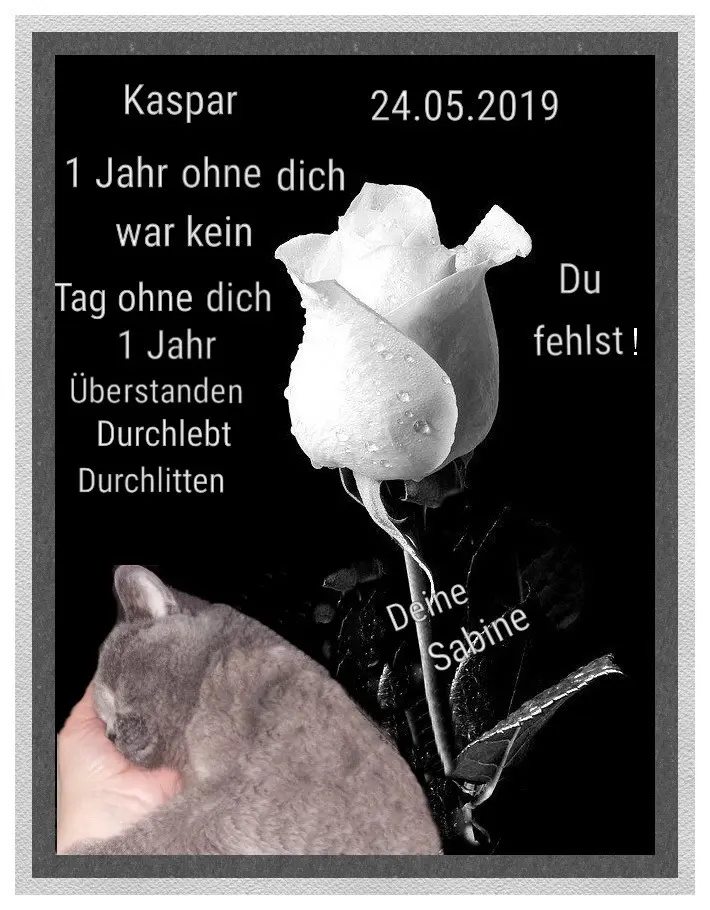 Condolence image of Mama❤️