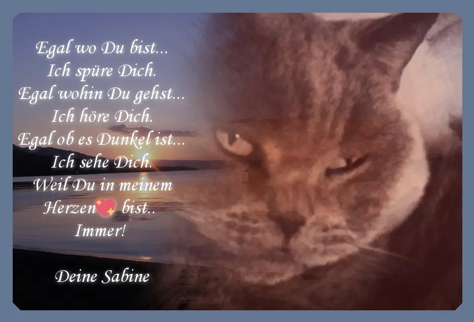 Condolence image of Dein Frauchen