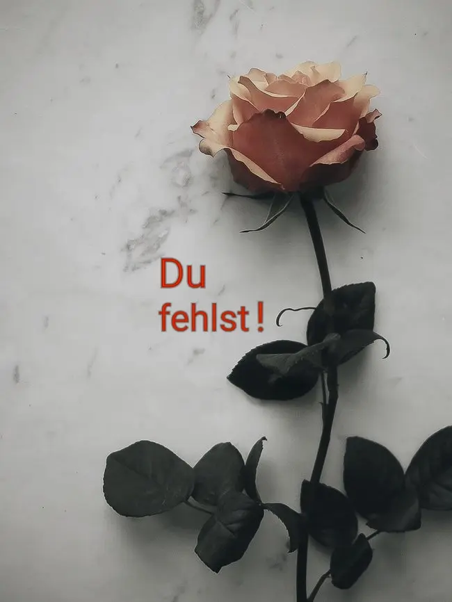 Condolence image of Deinem Frauchen ❤