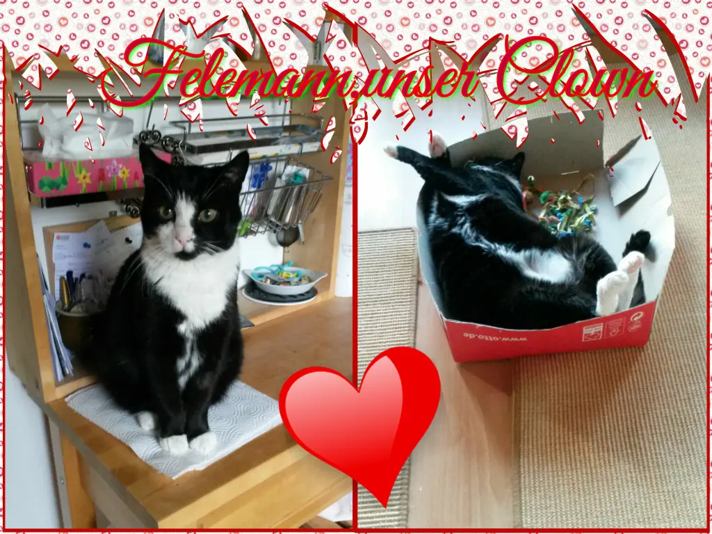 Condolence image of Eike und Edeltraud mit Mulle, Miezi, Jonny, Felix, Lemmi und Tommi tief im Herzen ❤❤❤❤❤❤