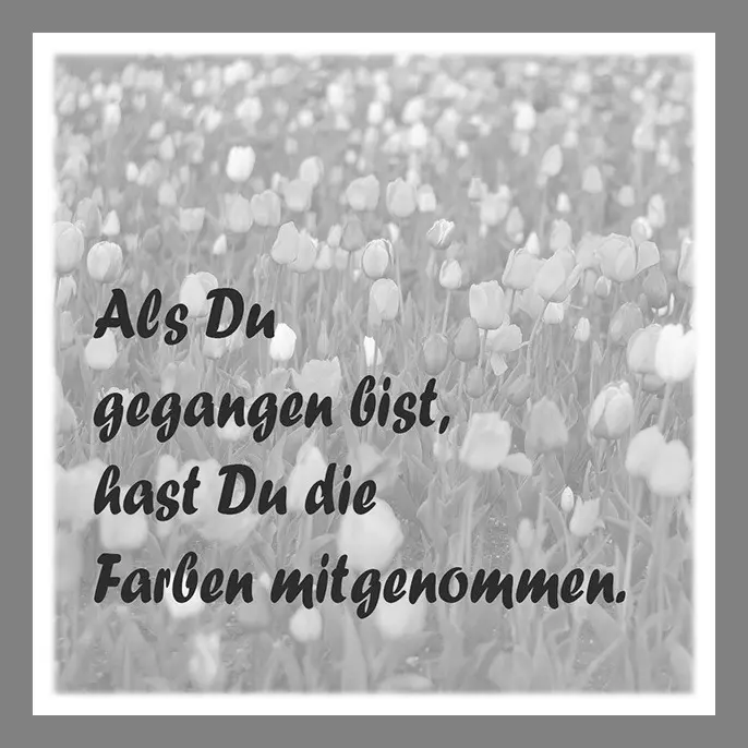 Condolence image of Deinem Frauchen Sabine