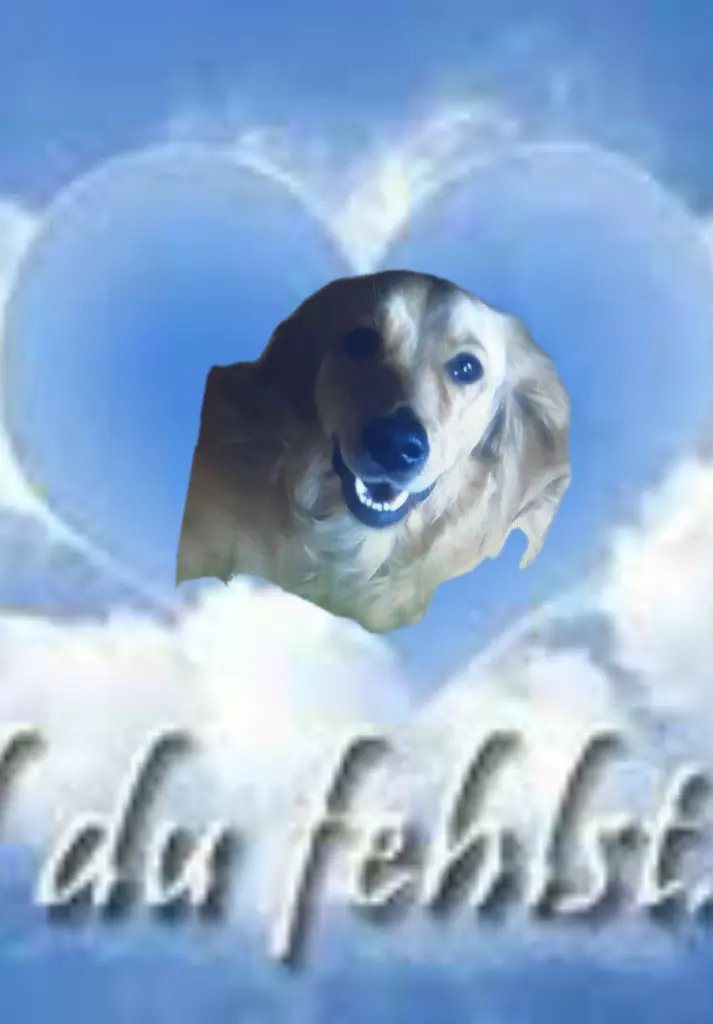 Condolence image of Ellen mit Lina ❤️