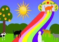 Condolence image of 17 Monate im Regenbogenland