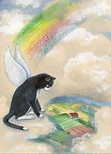 Condolence image of Tanja mit Timmy im Herzen