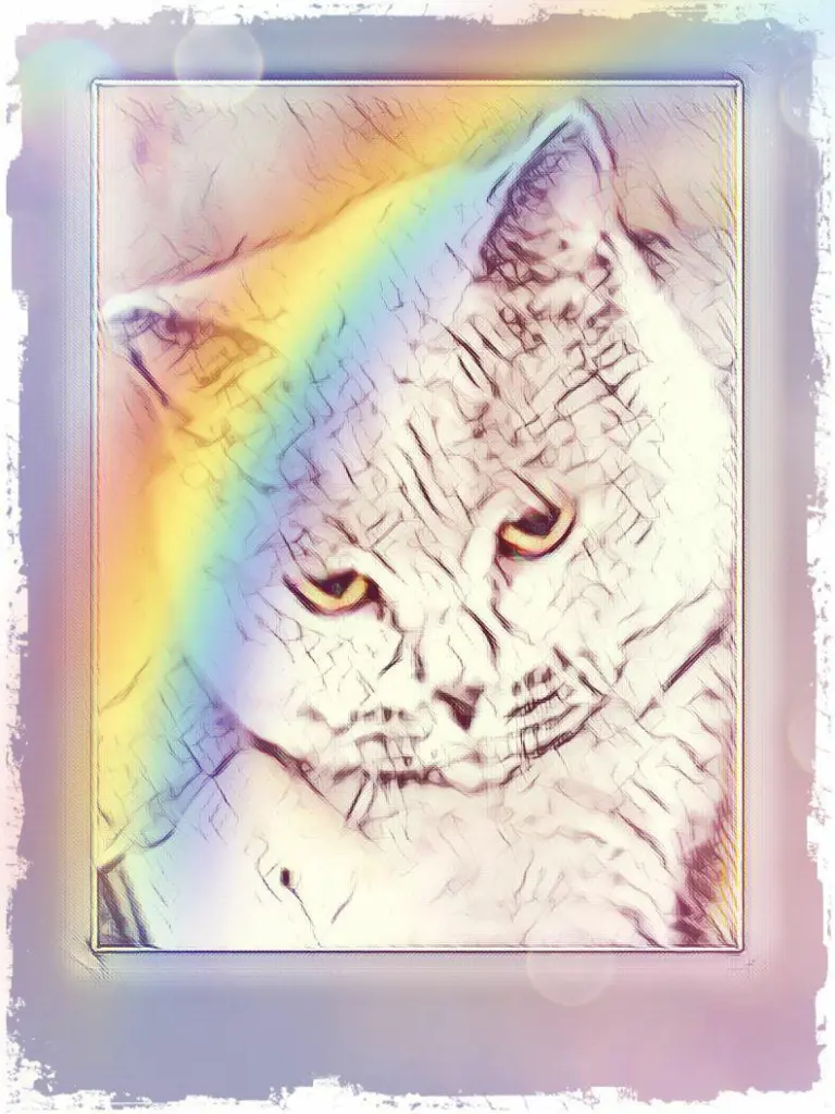 Condolence image of Ellen mit Lina ❤️