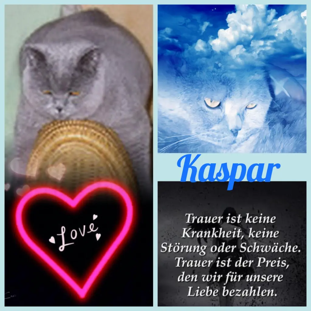 Condolence image of Ellen mit Lina ❤️