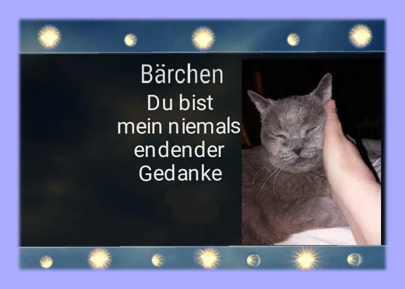 Condolence image of deinem Frauchen❤️