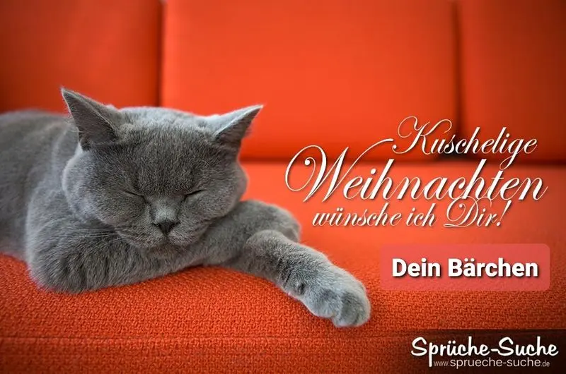 Condolence image of Post von Bärchen 