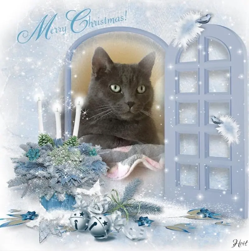 Condolence image of gerlinde
