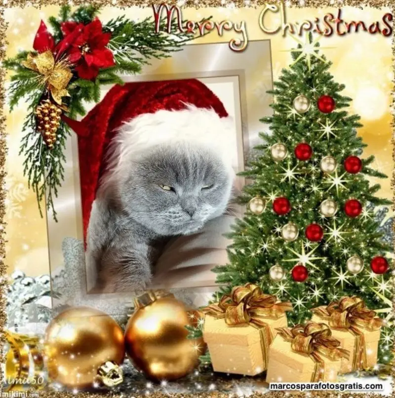Condolence image of ❤️WEIHNACHTEN❤️❤️❤️