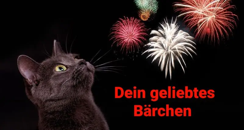 Condolence image of Post von Bärchen 
