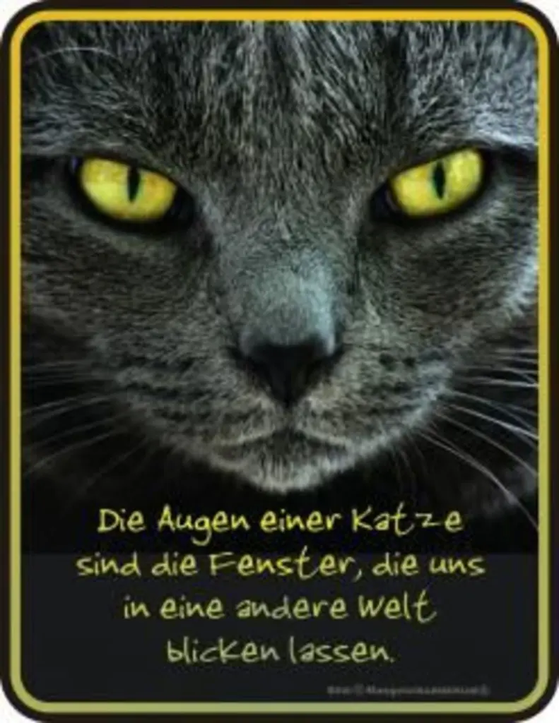 Condolence image of Tanja mit Timmy im Herzen