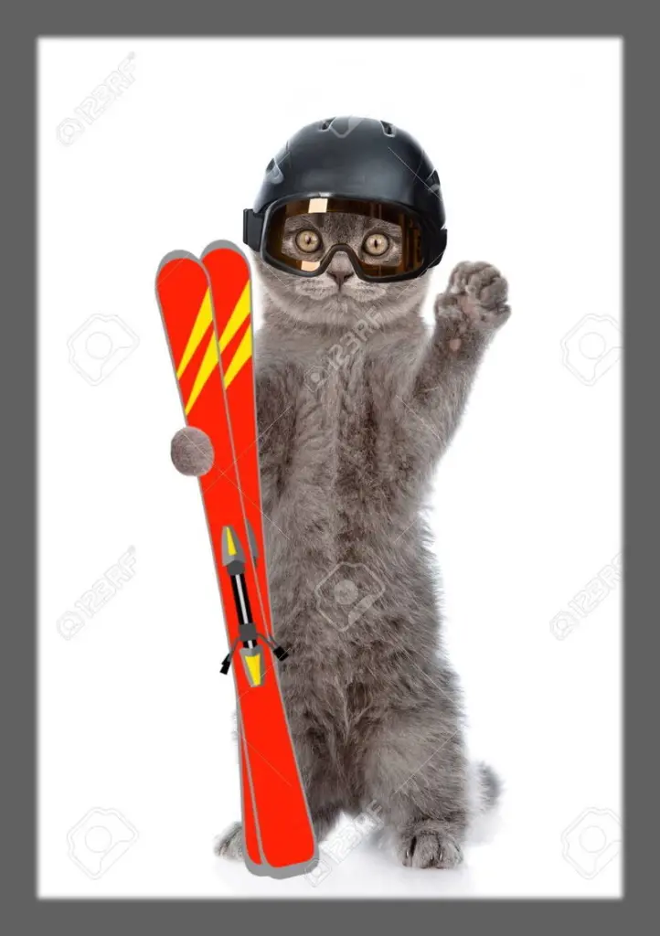 Condolence image of deinem Frauchen❤️