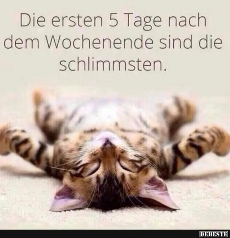 Condolence image of Tanja mit Timmy im Herzen