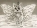 Condolence image of Tanja mit Timmy im Herzen