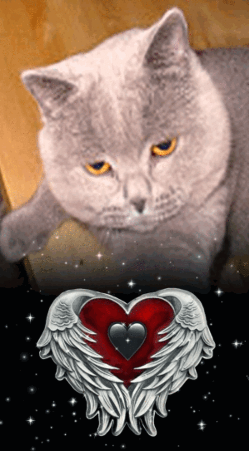 Condolence image of Ellen mit Lina ❤️