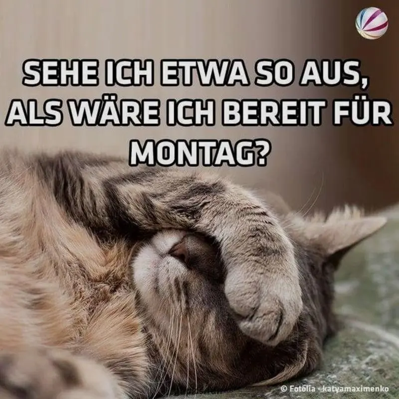 Condolence image of Tanja mit Timmy im Herzen