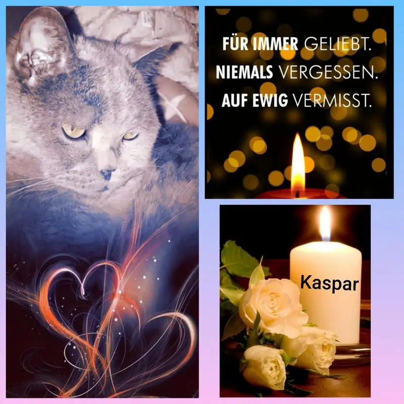 Condolence image of Ellen mit Lina ❤️