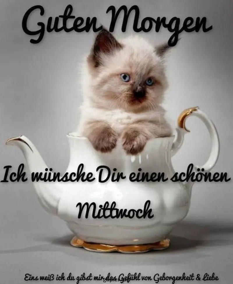 Condolence image of Tanja mit Timmy im Herzen