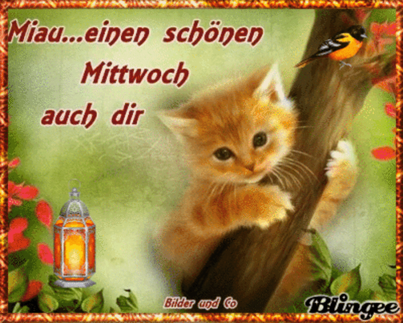 Condolence image of Tanja mit Timmy im Herzen