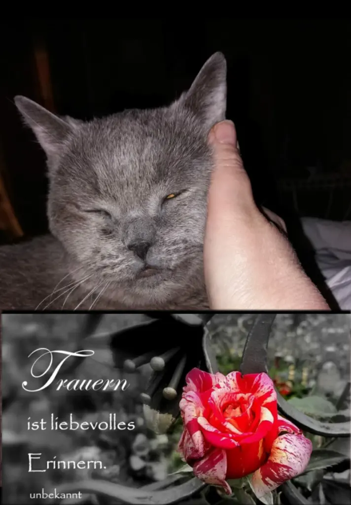Condolence image of Ellen mit Lina ❤️