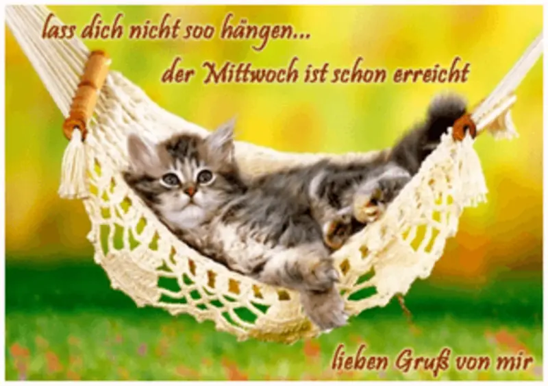 Condolence image of Tanja mit Timmy im Herzen 