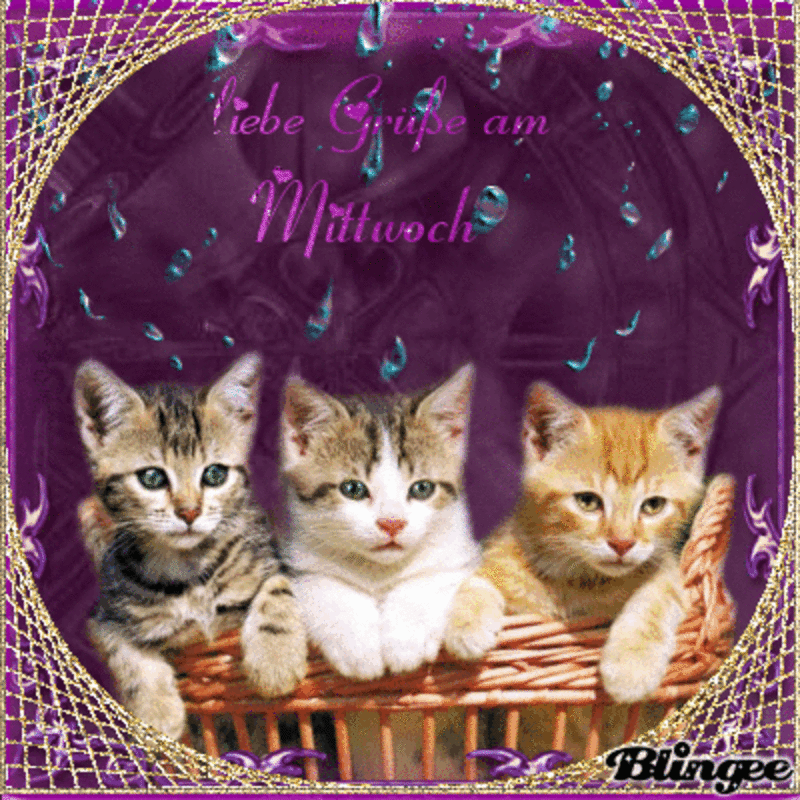 Condolence image of Tanja mit Timmy im Herzen 