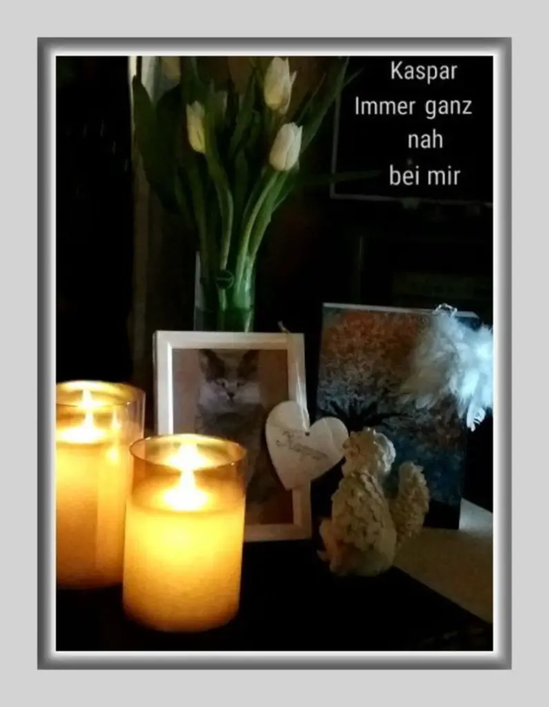 Condolence image of deinem Frauchen❤️