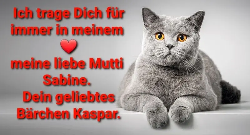 Condolence image of Post von Bärchen