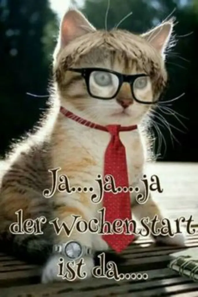 Condolence image of Tanja mit Timmy im Herzen