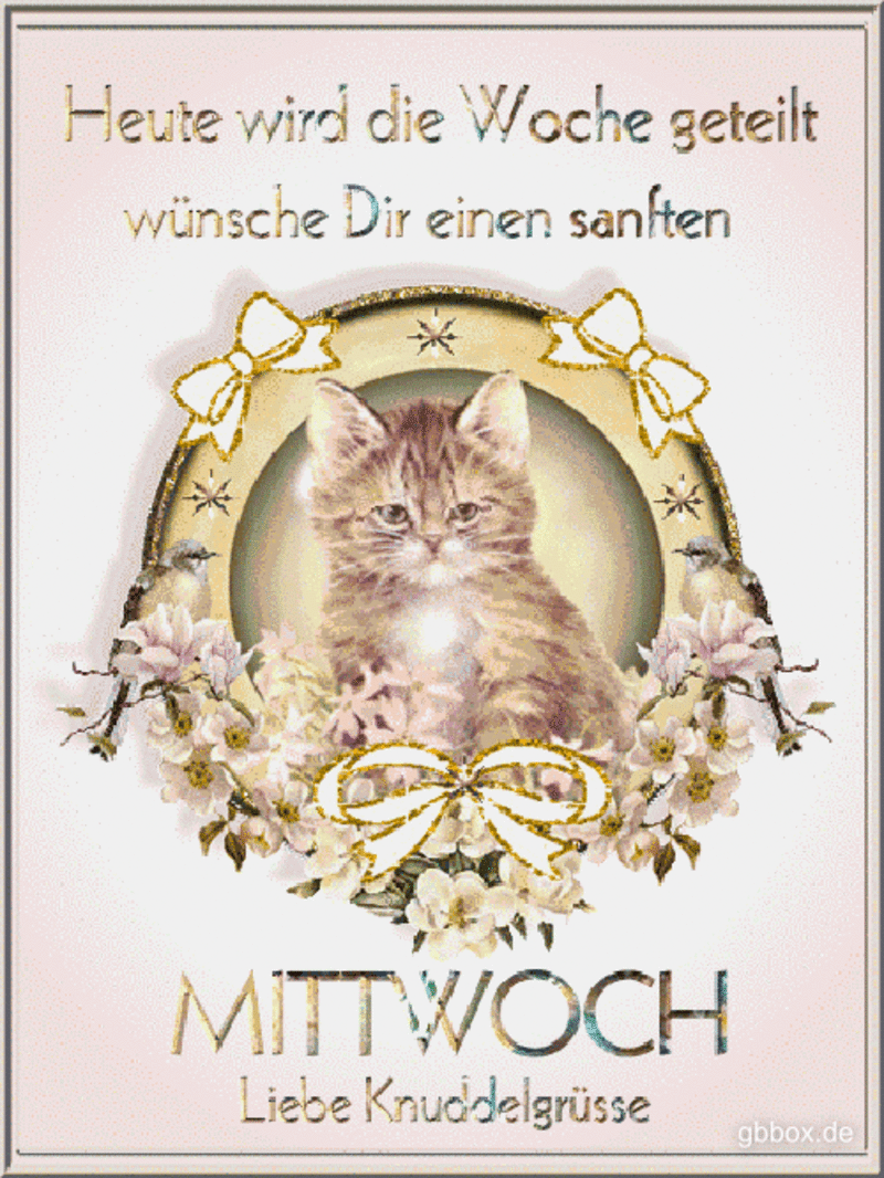 Condolence image of Tanja mit Timmy im Herzen