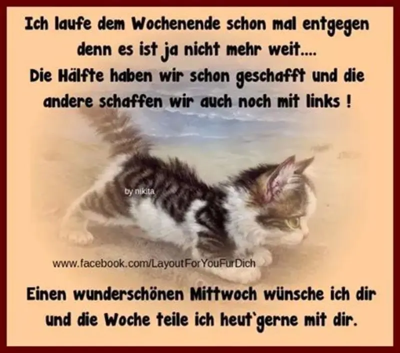 Condolence image of Tanja mit Timmy im Herzen
