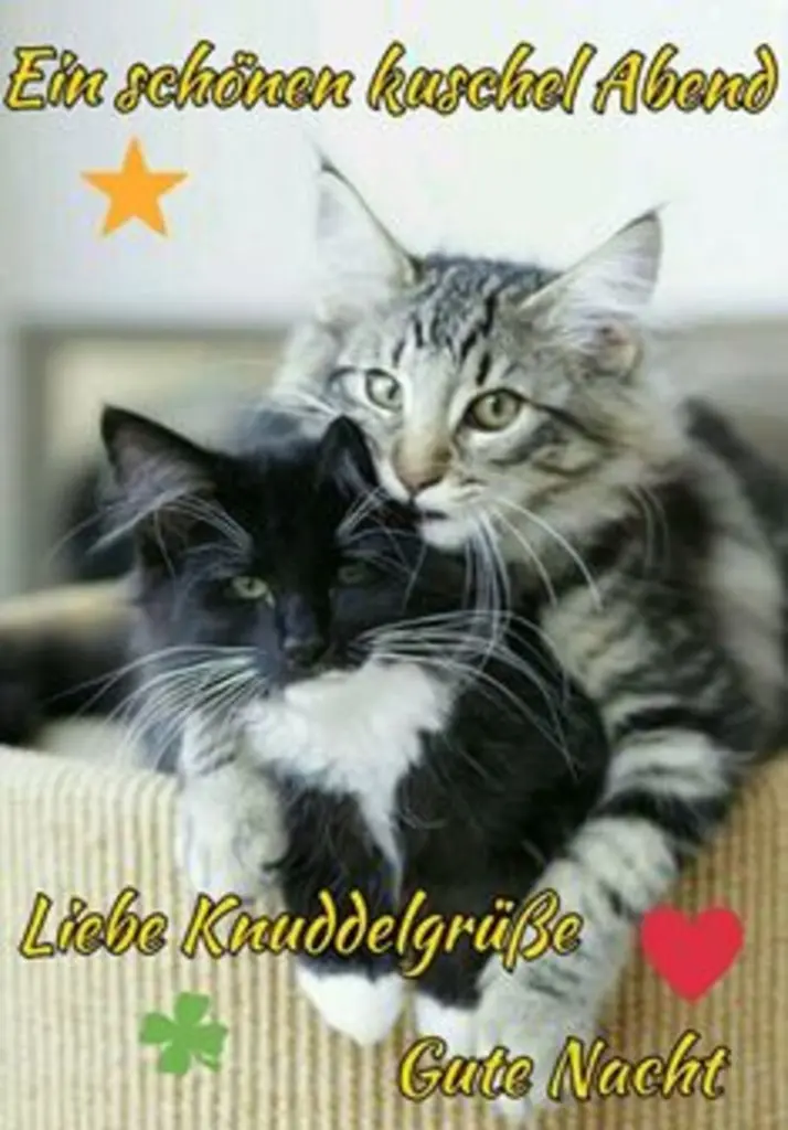 Condolence image of Ellen mit Lina ❤️und all meinen Sternchen ❤️