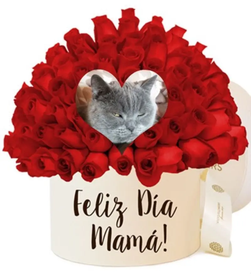 Condolence image of ❤️Mama❤️