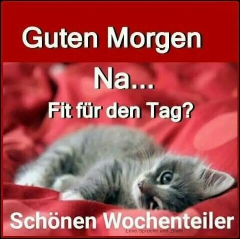 Condolence image of Tanja mit Timmy im Herzen