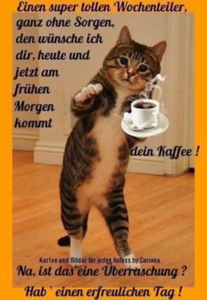 Condolence image of Tanja mit Timmy im Herzen