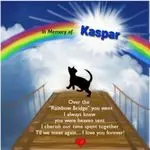 Condolence image of Tanja mit Timmy im Herzen 