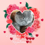 Condolence image of 2. Sternchen❤️Gedenktag❤️❤️