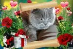 Condolence image of ❤️❤️❤️❤️❤️❤️❤️❤️❤️❤️❤️❤️❤️❤️