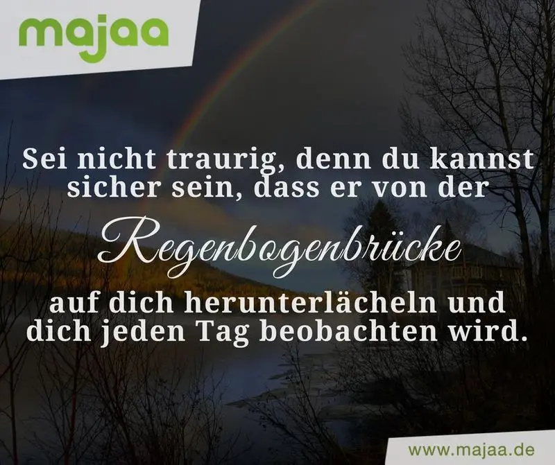 Condolence image of 2 Sternchengedenktag 