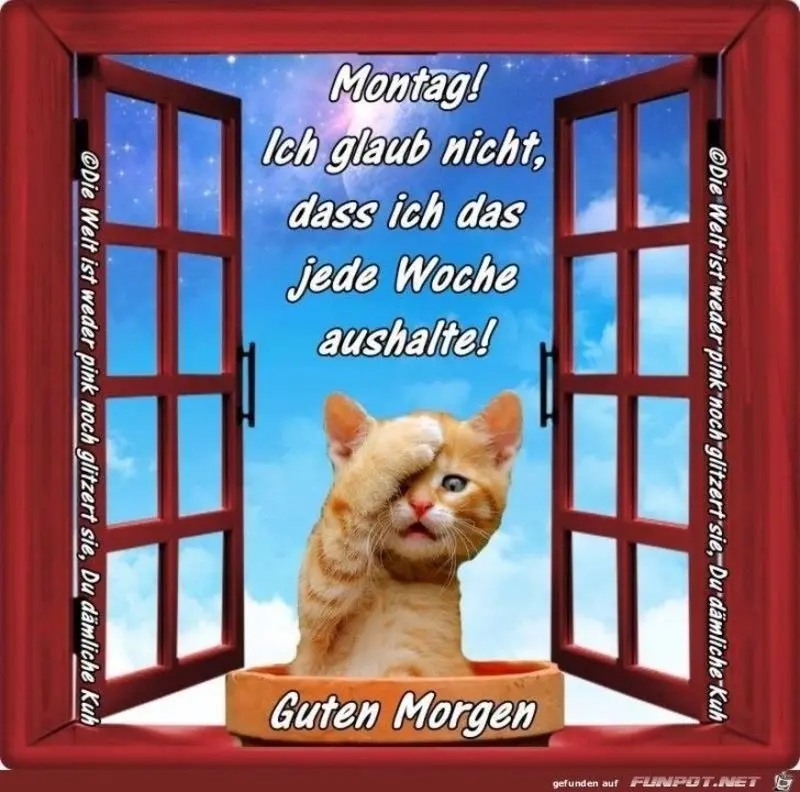 Condolence image of Tanja mit Timmy im Herzen 