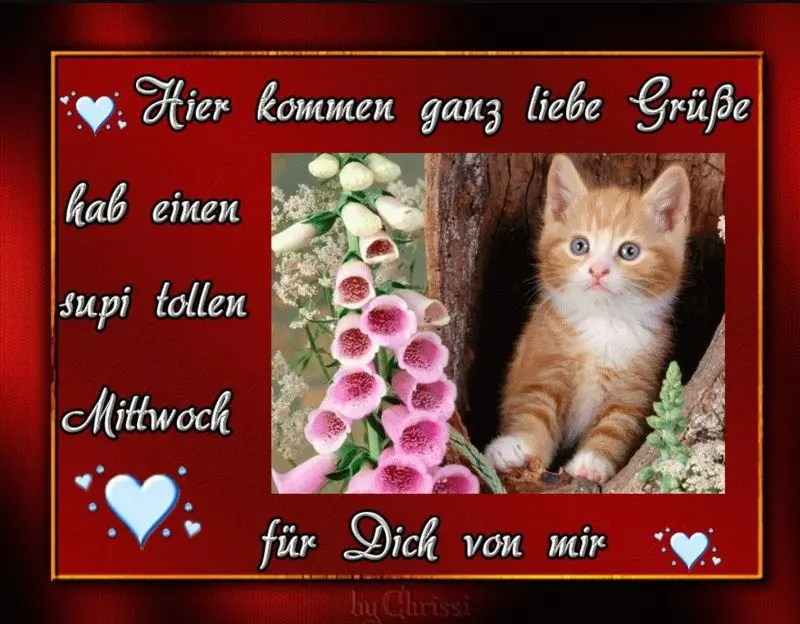 Condolence image of Tanja mit Timmy im Herzen 