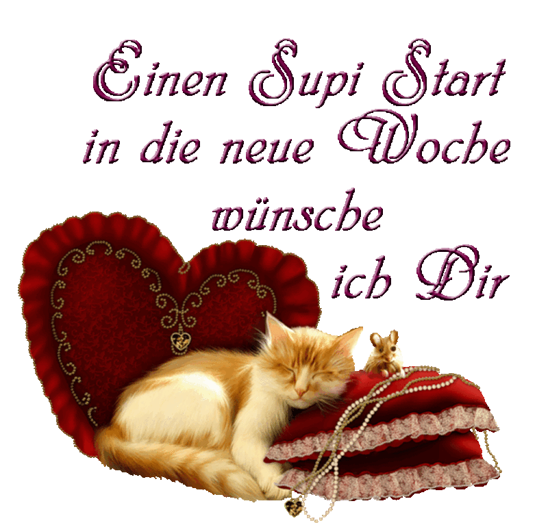 Condolence image of Tanja mit Timmy im Herzen