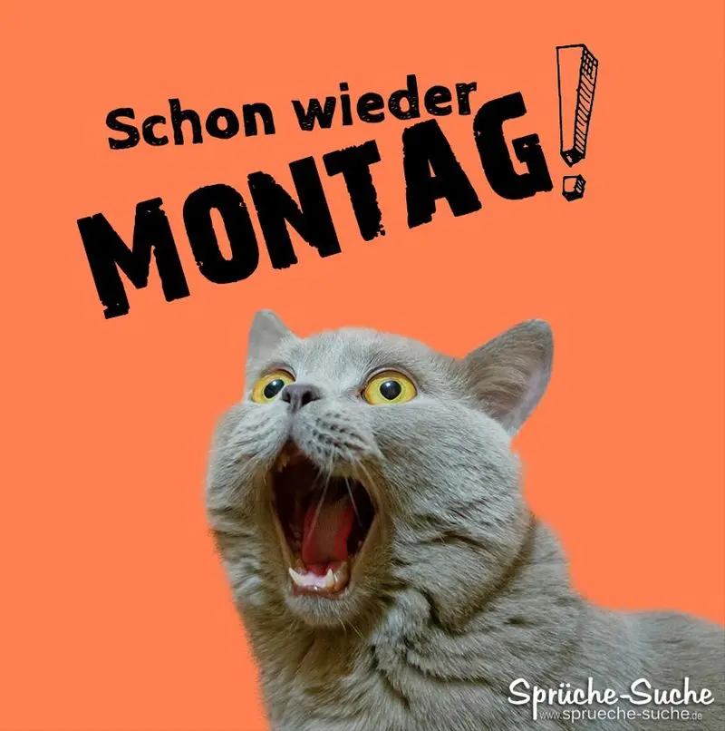 Condolence image of Tanja mit Timmy im Herzen