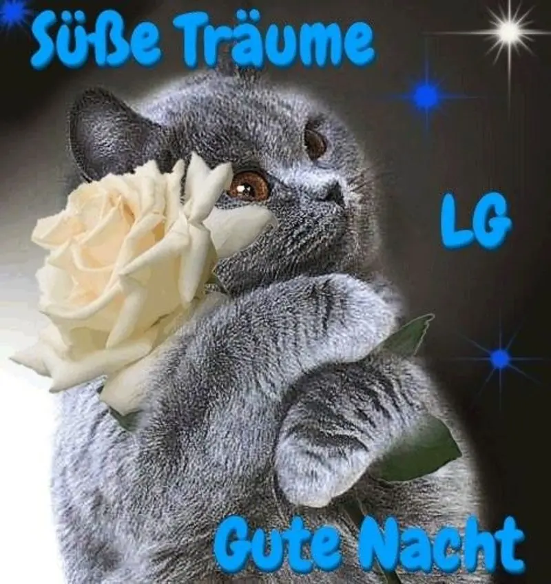 Condolence image of Abendpost von Bärchen 
