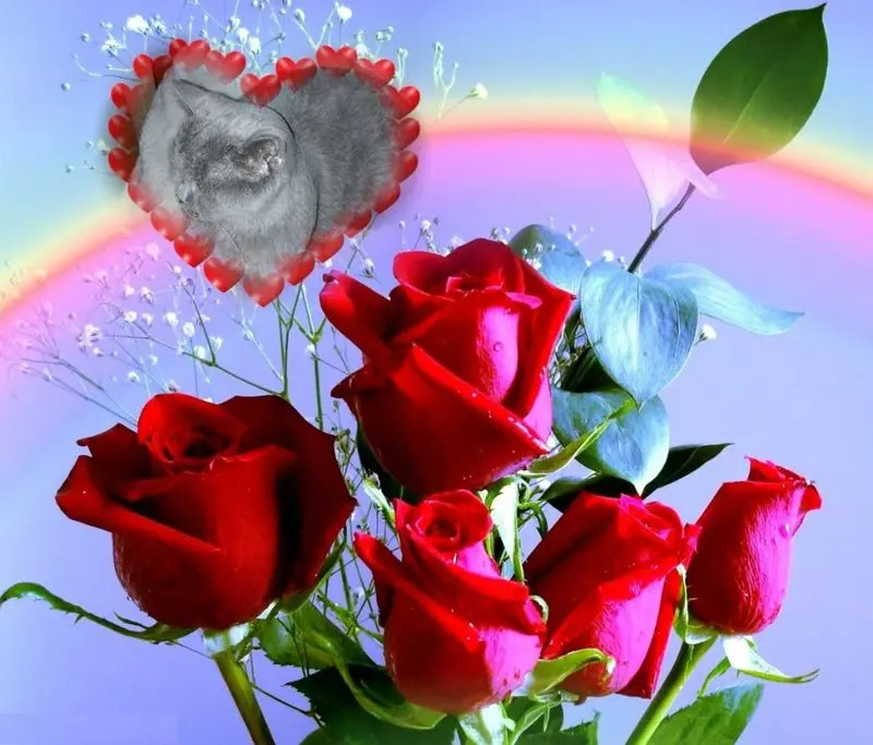 Condolence image of ❤️❤️❤️❤️❤️❤️❤️❤️❤️❤️❤️❤️❤️❤️