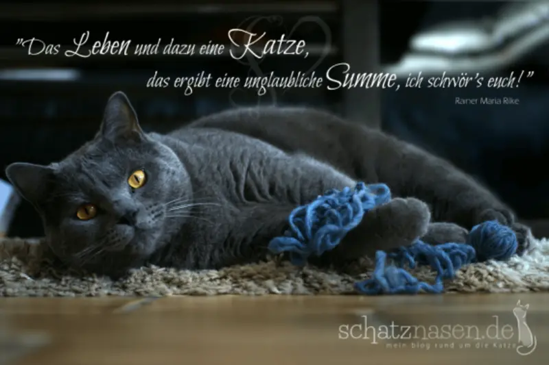 Condolence image of Post von Bärchen