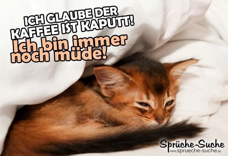 Condolence image of Tanja mit Timmy im Herzen