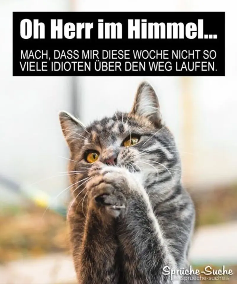 Condolence image of Tanja mit Timmy im Herzen