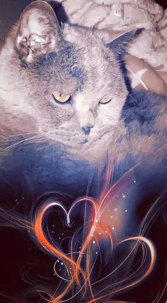 Condolence image of Ellen mit Lina ❤️und all meinen Sternchen ❤️